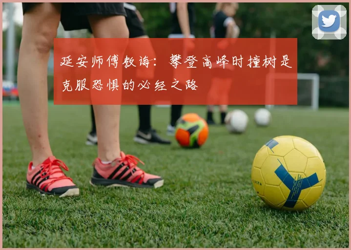 延安师傅教诲：攀登高峰时撞树是克服恐惧的必经之路